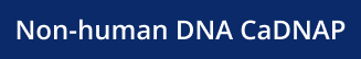 Non-human DNA CaDNAP